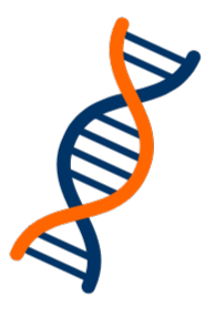 Ilustração de hélice de DNA representando o catálogo de peças